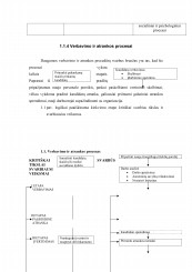 www.speros.lt